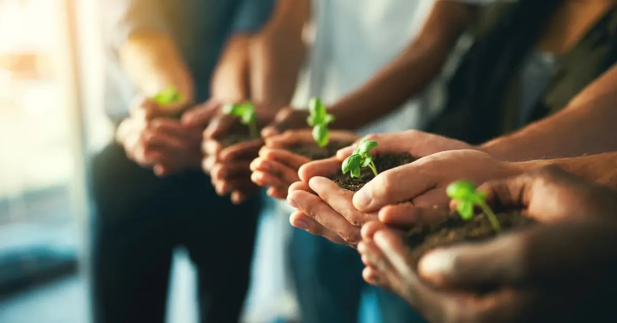 Cropped photo of a team holding dirt in their hands with a plant blooming