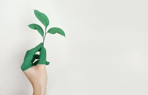 become a sustainable traveler