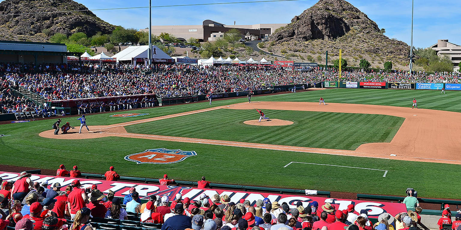 MLB Spring Training